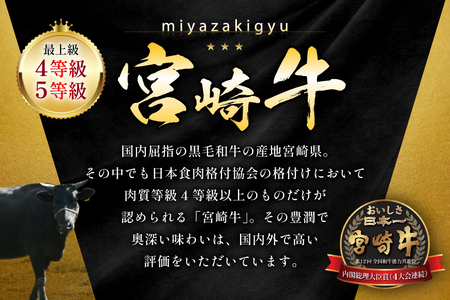 牛肉 宮崎牛 カルビ 焼肉用 500g 1p [ローカルブランディング 宮崎県 日向市 452061412] 冷凍 小分け 黒毛和牛 黒毛 A4 A5 焼肉 焼き肉 BBQ バーベキュー 国産