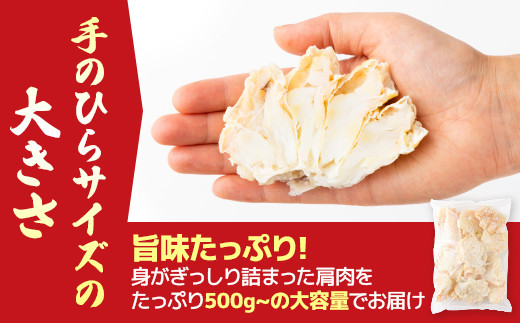 量が選べる！本ズワイガニ 肩肉 500g カニ用フォーク付き！ ギフト