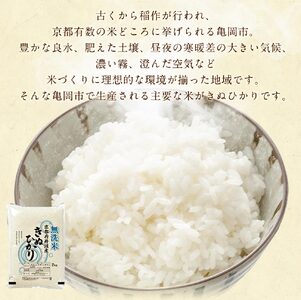 【12回定期便】【無洗米】丹波産キヌヒカリ 6kg 真空パック 無洗