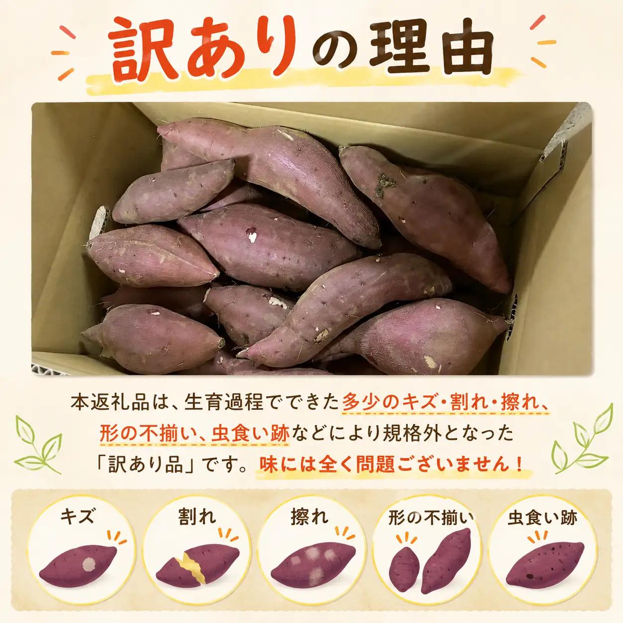 さつまいも 生芋 紅はるか 10kg 訳あり サツマイモ 【 産地直送 】