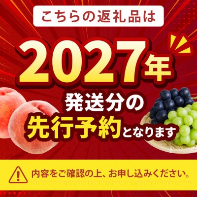 2027年発送先行受付【果汁スプラッシュ日川白鳳】人気品種指定ギフト5年連続TV出演話題ブランド桃【配送不可地域：離島・北海道・沖縄県・中国・四国・九州】