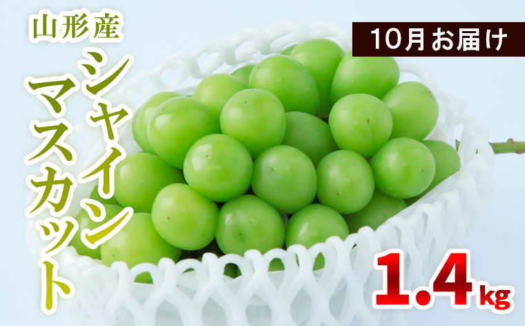 
山形産 シャインマスカット 1.4kg(2～4房) 10月お届け 【令和6年産先行予約】FS23-856
