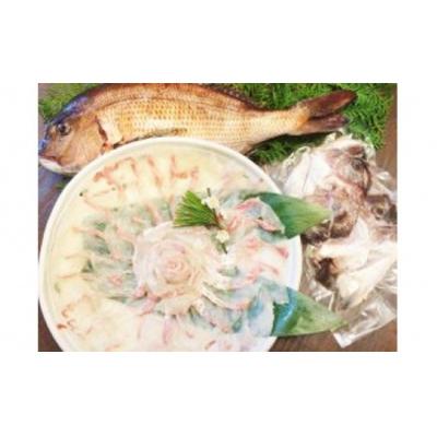 ふるさと納税 南あわじ市 真鯛の切身【1匹丸ごと】淡路島産真鯛の切り身(2〜4人前)