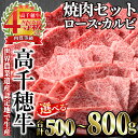 【ふるさと納税】＜内容量が選べる！＞高千穂牛 焼き肉セット(合計500～800g) 国産 宮崎県産 宮崎牛 牛肉 焼肉 ロース カルビ 霜降り A4 和牛 ブランド牛【MT010・MT014】【JAみやざき 高千穂牛ミートセンター】