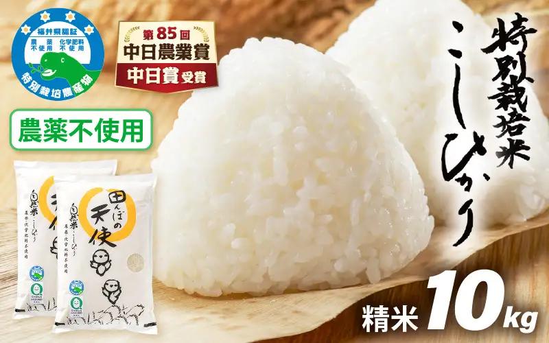 【中日賞受賞】農薬不使用 特別栽培米コシヒカリ10kg（5kg×2）【精米】福井県認証区分1取得「田んぼの天使」 [e10-d005]