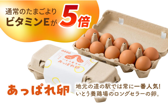 【卵かけご飯セット】いとう君ちのあっぱれ卵20個・卵かけ醤油「たましょー」セット /いとう養鶏場 [UAQ007]