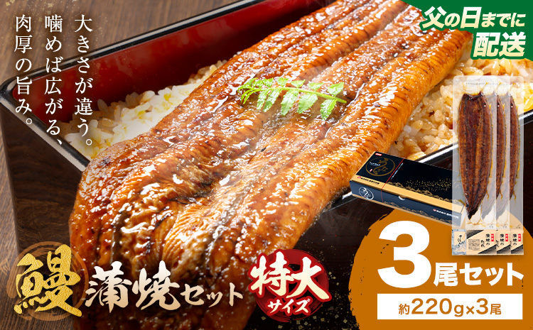 【父の日】＼特大サイズ／ 鹿児島県産 鰻蒲焼真空セット！3尾  タレ・山椒付！ 株式会社薩摩川内鰻 《6月中旬-6月下旬頃出荷》  鹿児島県 さつま町 送料無料 ウナギ 丑の日 うなぎ 刻み グルメ 特大 鰻 蒲焼 真空