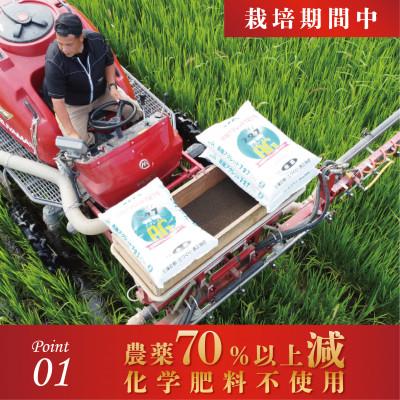 ふるさと納税 福井市 令和7年産 ふくい東郷米 特別栽培米 栽培期間中農薬70%減コシヒカリ 胚芽付3kg×1袋【真空袋】 |  | 02
