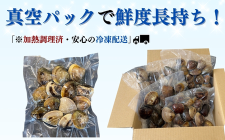 はまぐり 500g×4袋 ハマグリハマグリハマグリ 岬だより