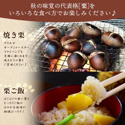 ふるさと納税 西予市 西予市城川産　大きな生栗　サイズ3L　2kg(化粧箱入) |  | 02