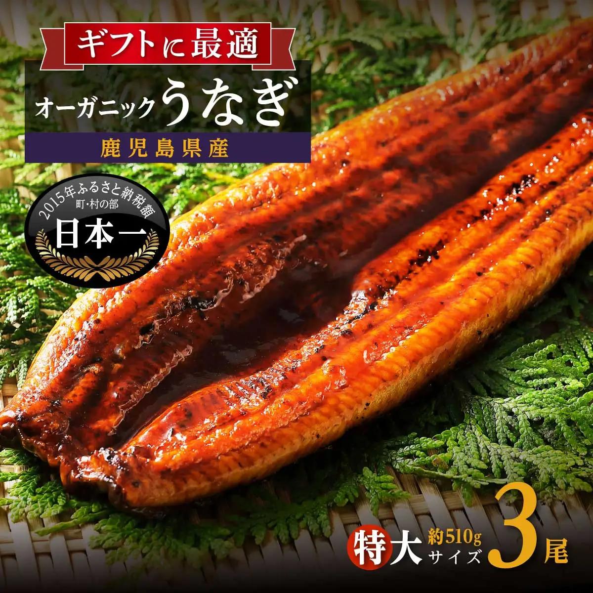 泰正オーガニック うなぎ 蒲焼　特大3尾　| うなぎ