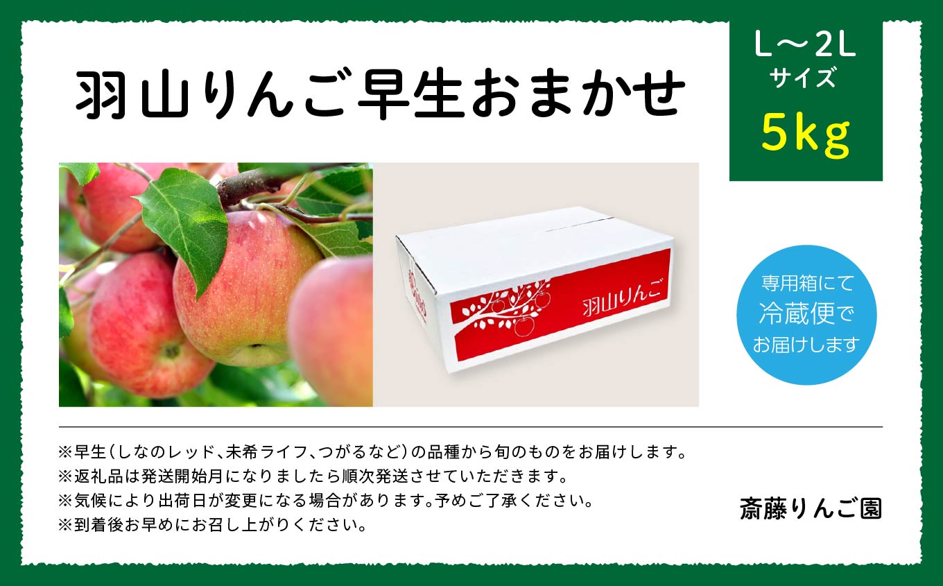 《2025年8月下旬以降順次発送》羽山のりんご　早生おまかせL〜2Lサイズ5kg【斎藤りんご園】