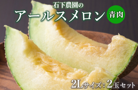 アールスメロン 青肉 LLサイズ 2玉