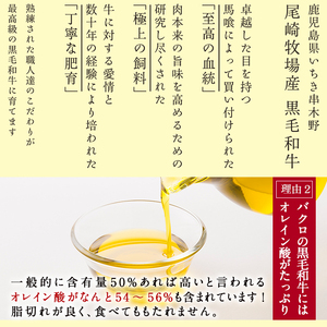 鹿児島県産黒毛和牛100%ミンチ(約350g×2パック・約700g) 和牛ミンチ 国産和牛 黒毛和牛 ミンチ 【A-676H】