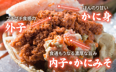 【先行予約】【訳あり】プチプチ食感の外子と濃厚な内子 せいこがに 甲羅盛   70～80g×4個（中大サイズ）【トライアル返礼品】【2026年11月中旬より発送予定】 [B-007020] 