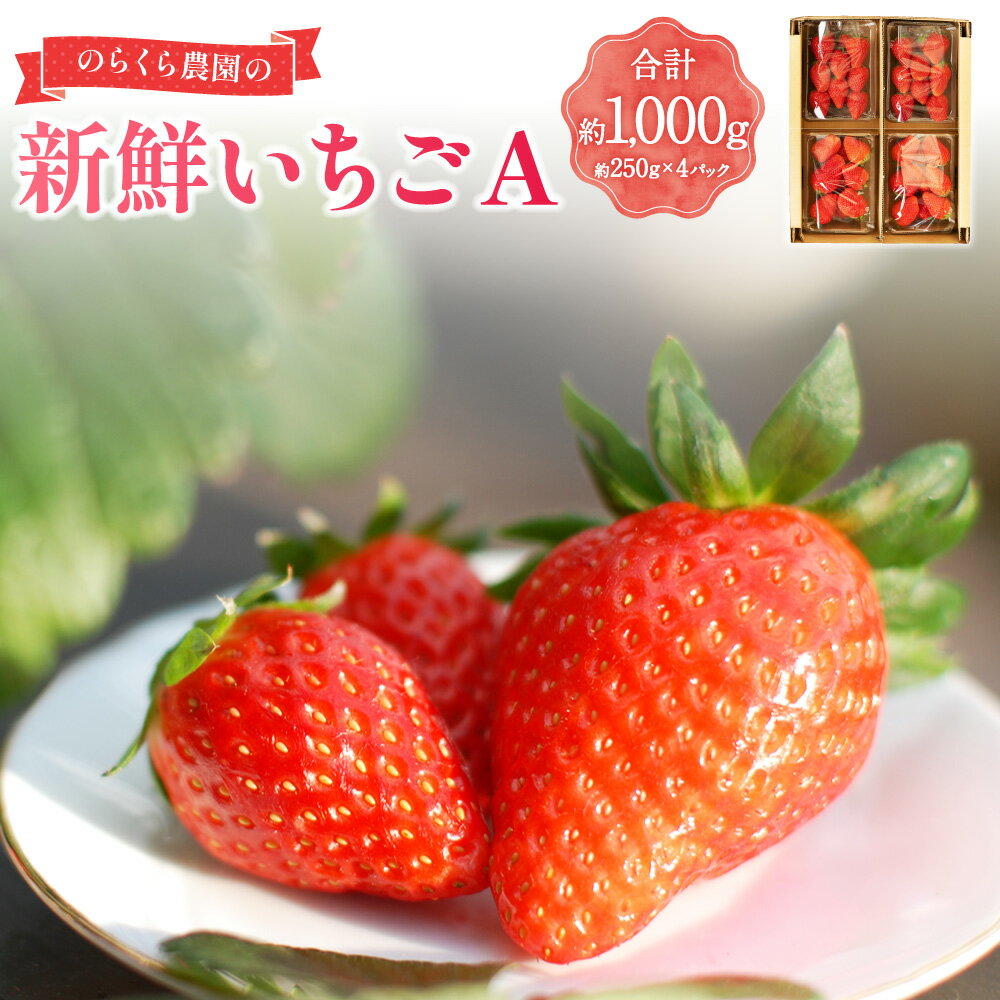 【ふるさと納税】【指定日必須】のらくら農園の新鮮いちごA 計1kg（250g×4パック） いちご イチゴ 苺 章姫 フルーツ くだもの 果物 果実 デザート 冷蔵 三重県産 国産 三重県 桑名市 送料無料 【2026年2月下旬迄発送予定