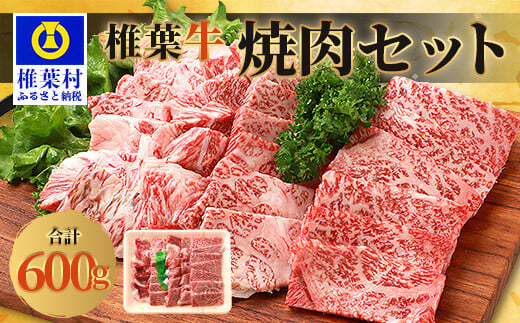 宮崎県産 椎葉牛 焼肉セット 600g A5等級指定 ［宮崎県 椎葉村 国産 国産牛 黒毛和牛 和牛 牛 牛肉 赤身 にく おにく 肉 お肉 A a5 A5 やきにく 焼肉 焼肉セット セット バーベキュー ごちそう 贈物 日本三大秘境］【TK-23】