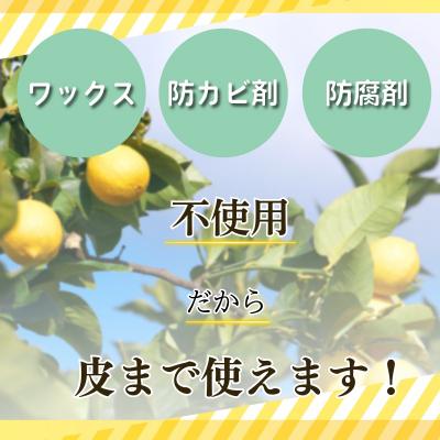 ふるさと納税 小松島市 【2026年12月発送】レモン 10kg 秀品　国産 レモン れもん ワックス不使用 防腐剤不使用 |  | 01
