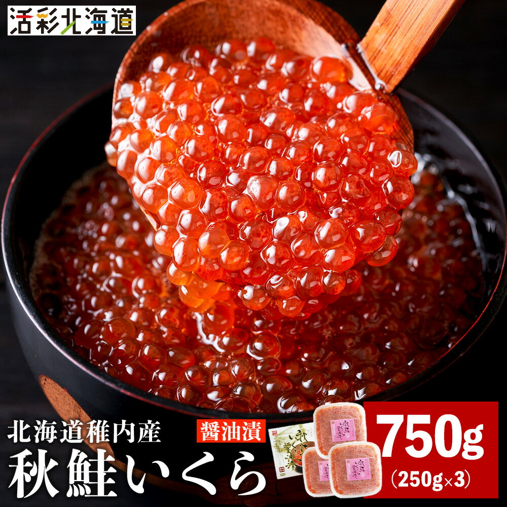 【ふるさと納税】【 北海道 稚内産 】 秋鮭 いくら 醤油漬 750g ( イクラ丼 海鮮丼 に!)いくら 醤油漬け 魚卵 加工品 北海道ふるさと納税 稚内 ふるさと納税 北海道 【配送不可地域：離島】