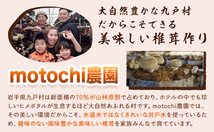 椎茸 きのこ 訳あり 菌床椎茸 1kg サイズ未選別 motochi農園《11月上旬-3月中旬に出荷予定(土日祝除く)》 岩手県 九戸村 野菜 岩手県産 国産 お取り寄せ 送料無料 大きい 不揃い シ