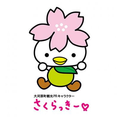 ふるさと納税 大河原町 大河原町観光PRキャラクター「さくらっきー」ぬいぐるみ20cm[53751017] |  | 01