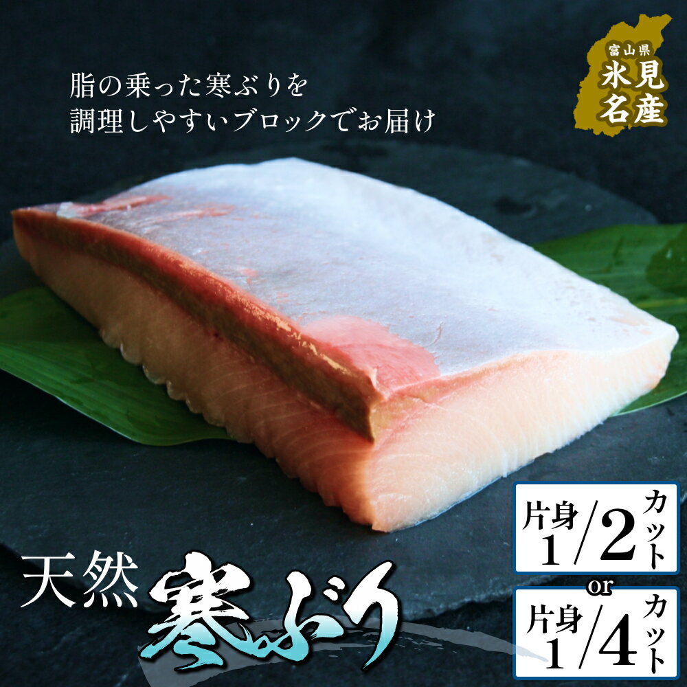 【ふるさと納税】 ＜先行予約＞ 氷見産 天然寒ブリ 片身 1/2カット または 1/4カット ＜2025年11月中旬以降順次発送＞ ブロック 釣屋魚問屋直営 ひみ岸壁市場