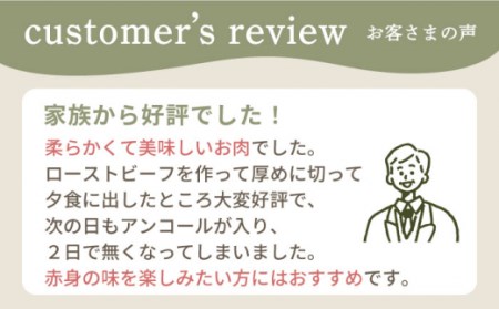 【牧場直送】【12回定期便】佐賀県産しろいし牛 モモブロック（ローストビーフ用）500g【有限会社佐賀セントラル牧場】[IAH138]