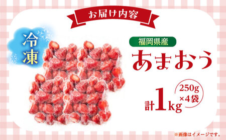 福岡県産 冷凍あまおう1ｋg(250g×4個) ＜木村食品＞ 那珂川市[GFR035]