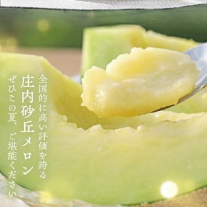 SA2890　特大庄内砂丘メロン(青肉) 2.2～2.5kg 1玉 つる付き