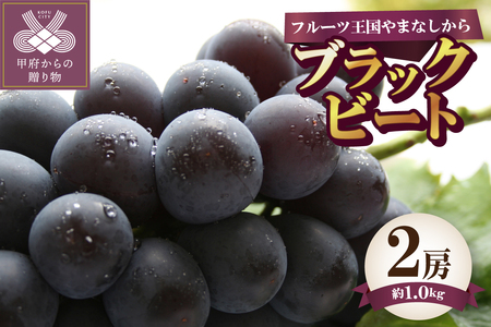 【ふるなび限定】〈2026年度配送分〉ブラックビート 2房（約1.0kg）　FN-Limited-SP