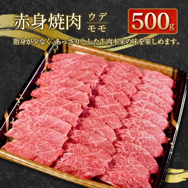齋藤牛 特選焼肉盛合せ（肩ロース 500g・赤身ウデ・モモ 500g）計1kg【D116】