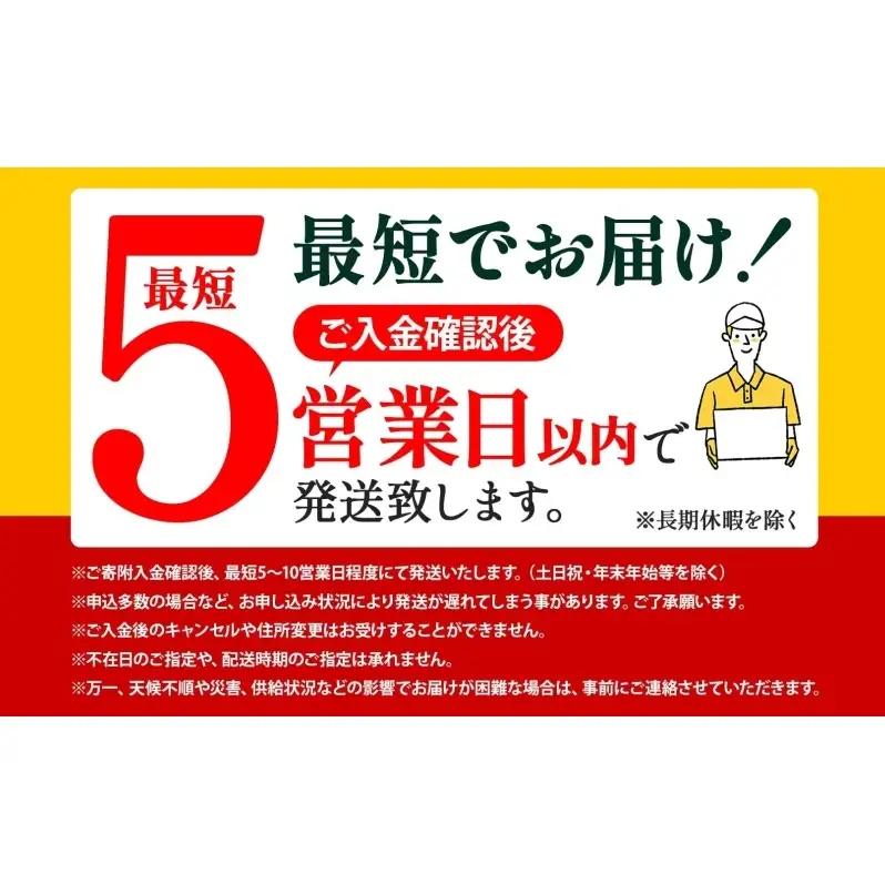 ななつぼし 無洗米 北海道産 令和7年産 ななつぼし【15kg(5kg×3袋)】