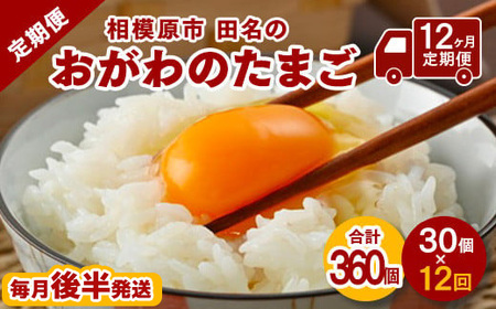 【12ヶ月定期便】【毎月後半発送】相模原市田名のおがわのたまご　ピンク卵　Mサイズ 30個(27個＋割れ補償3個)×12か月※着日指定不可