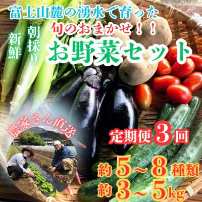 ふるさと納税 西桂町 【発送月固定定期便】新鮮野菜!農家厳選の旬のお野菜セット約5〜8種類を約3kg〜5kg全3回