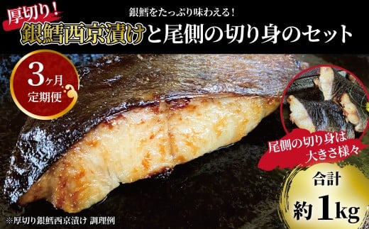 【定期便】「厚切り銀鱈西京漬」と不揃い銀鱈尾の身 合計1kg 3か月