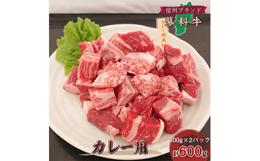 
＜牛肉カレー用＞信州蓼科牛の厳選部位をおまかせ600g(300g×2パック)御代田町古越牧場産【1297005】
