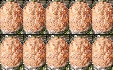 おおいた和牛特製ハンバーグ170g×10個(計1700g)【匠牧場】<102-031_5>