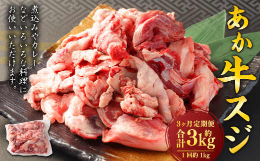 ＜ R8年熊本地震復興支援 ＞【3ヶ月定期便】 あか牛スジ 1kg （500g×2パック） 計3kg あか牛 牛肉 牛 お肉 肉 おかず 冷凍