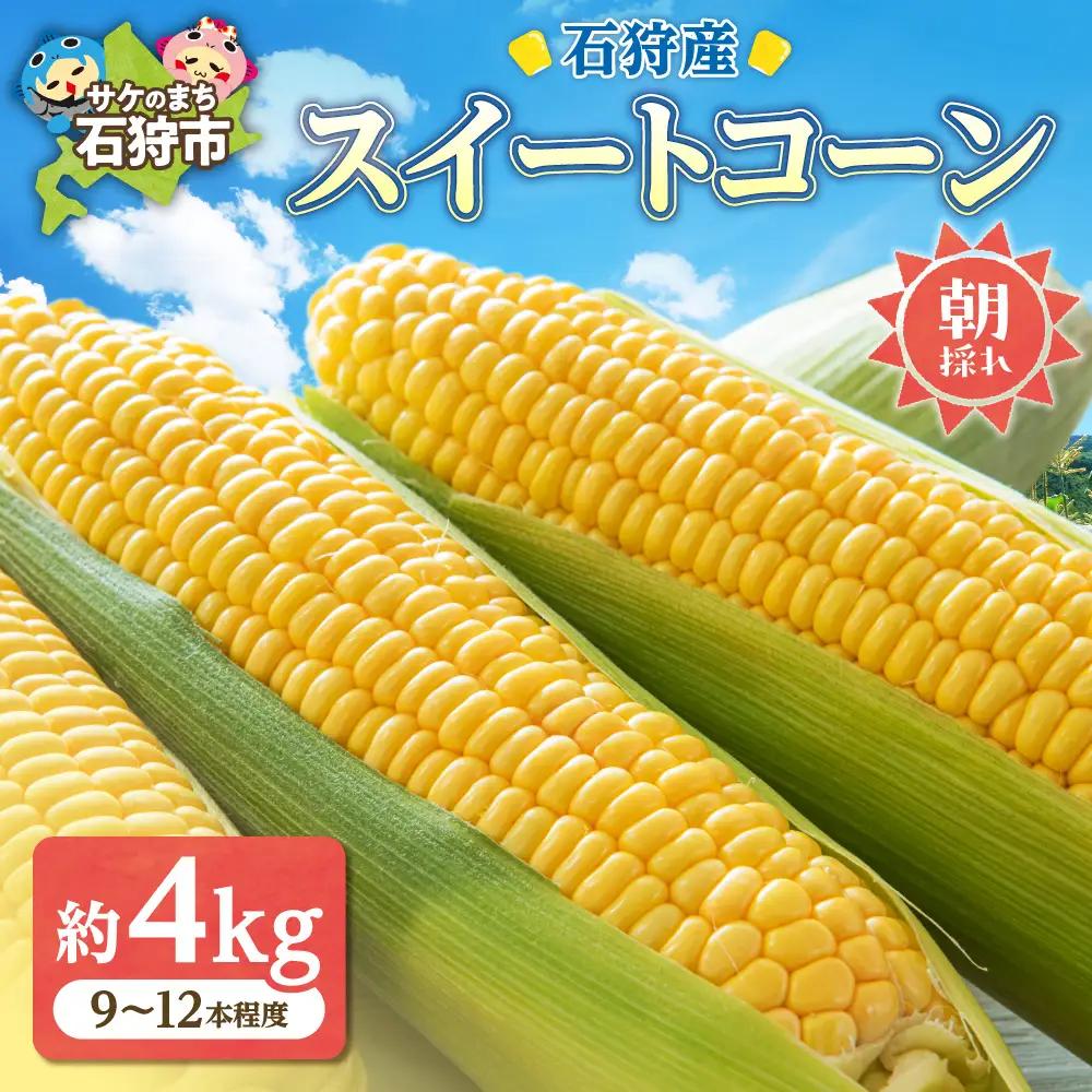 石狩産 スイートコーンとうもろこし（4.0kg以上 約9～12本）｜トウモロコシ とうきび 北海道 石狩市
