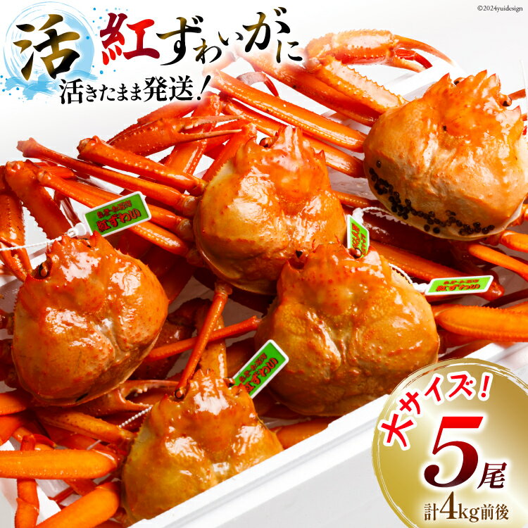 【ふるさと納税】【能登半島 漁協直送 3月以降発送】 活 紅ズワイガニ 5尾(大サイズ) 計 4kg 前後 [JF西海 石川県 志賀町AM4221] 蟹 カニ かに ズワイガニ ずわいがに