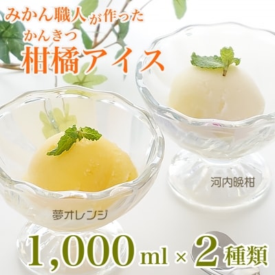 みかん職人が作った柑橘アイス1000ml×2種(夢オレンジ・河内晩柑)