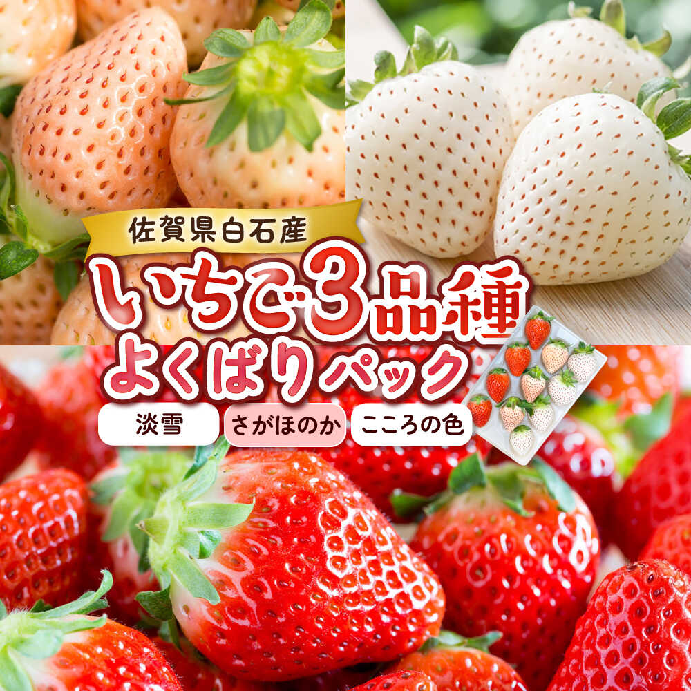 【ふるさと納税】【2026年発送分 先行予約】1パックに3色いちご（こころの色・さがほのか・淡雪）220g×1パック / いちご イチゴ 苺 果物 フルーツ / 佐賀県 / 岸川農園[41ASAG009]