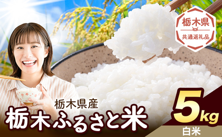 栃木ふるさと米 白米 5kg《7-14日以内に出荷予定(土日祝除く)》おこめ【栃木県共通返礼品】