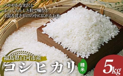 
            令和7年産 コシヒカリ 精米 5kg 米 コメ ごはん ご飯 食品 F24R-227
          