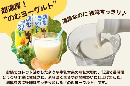 おおのミルク村 のむヨーグルト750ml×6本  