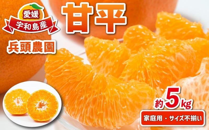 
            甘平 5kg 家庭用 サイズ不揃い 兵頭農園 高級 希少 限定 品種 ブランド 高級柑橘 甘い シャキシャキ かんぺい 希少 果物 くだもの フルーツ 柑橘 みかん 蜜柑 愛媛蜜柑 愛媛みかん mikan 農家直送 産地直送 数量限定 国産 愛媛 愛媛県 宇和島 B018-055010
          