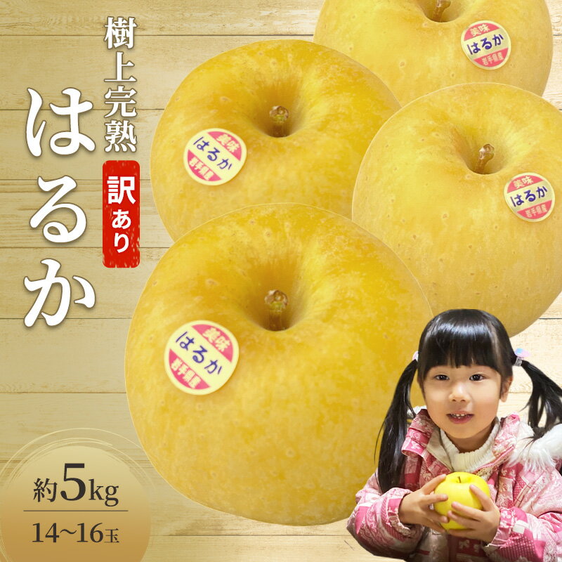 【ふるさと納税】先行予約 訳あり りんご プレミアム はるか 約 5kg 14～16玉 樹上完熟 林檎 リンゴ 果物 くだもの フルーツ 旬の果物 旬のフルーツ 季節の果物 季節のフルーツ 岩手りんご 訳アリ 直送 岩手 岩手県 盛岡市　お届け：2025年12月10日～2025年12月28日