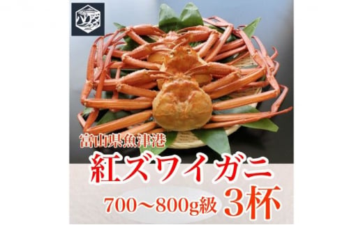 魚卸問屋のベニズワイガニ 700～800g級×3杯 はりたや　※2023年10月上旬～2024年5月下旬頃に順次発送予定 ※北海道・沖縄・離島への配送不可◇