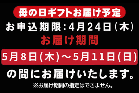 「母の日」佐賀牛 サーロインステーキ250g×2枚 (合計500g) 和牛 ご褒美に ギフト用 2人前 霜降り牛肉「母の日」Hahanohi