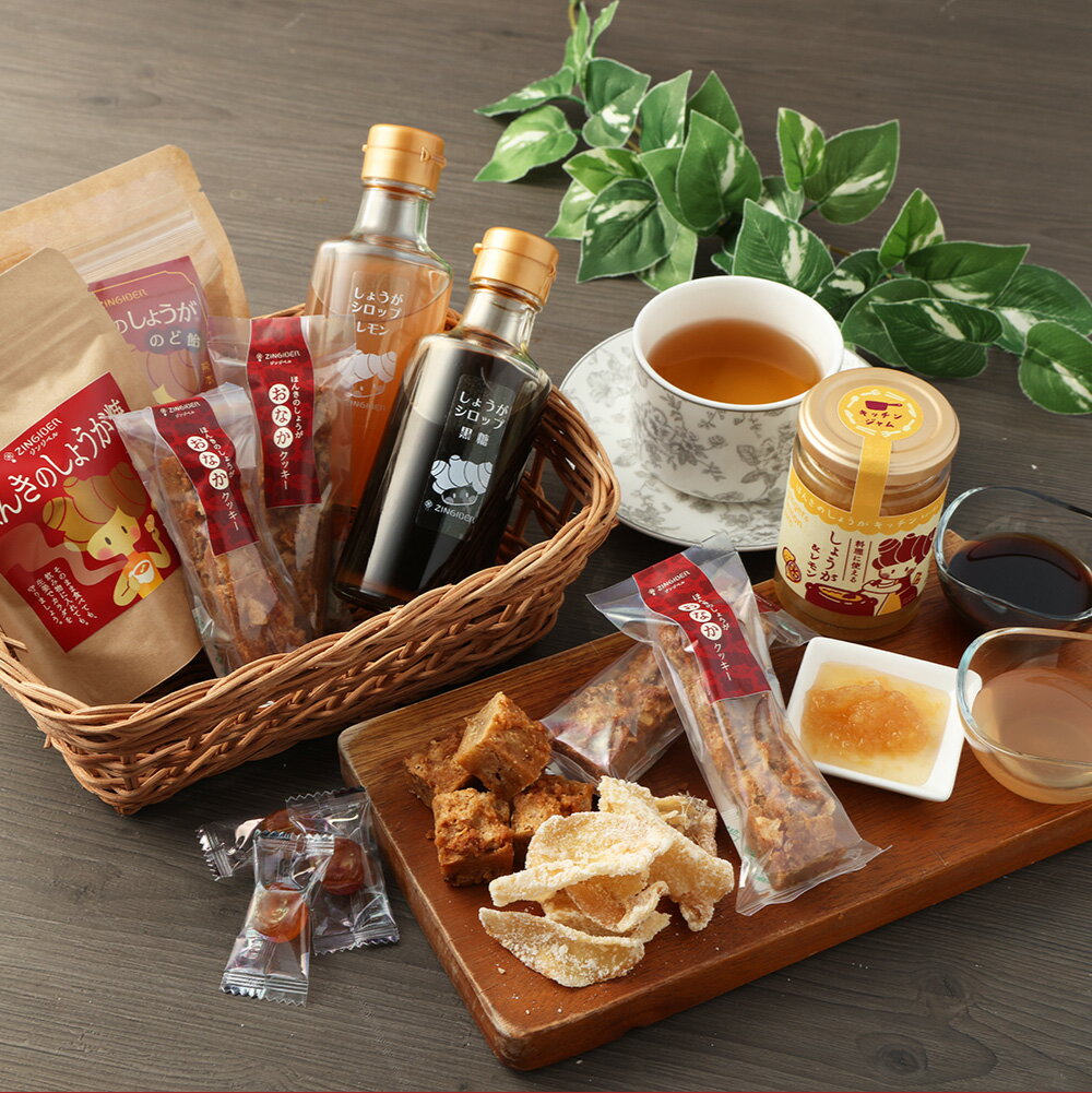 【ふるさと納税】ほんきのしょうがセット 6種 セット ショウガ 生姜 しょうが 菓子 お菓子 ジャム シロップ 詰め合わせ 詰合せ ギフト 贈り物 プレゼント 常温 九州 熊本県 送料無料